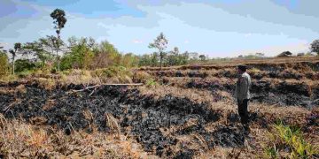 Lahan Tebu Seluas 1 Hektare Terbakar di Girimarto Wonogiri