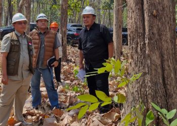 Cuaca Panas dan Kering, Perhutani Ngawi Siagakan 140 Personel Cegah Kebakaran Hutan