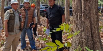 Cuaca Panas dan Kering, Perhutani Ngawi Siagakan 140 Personel Cegah Kebakaran Hutan