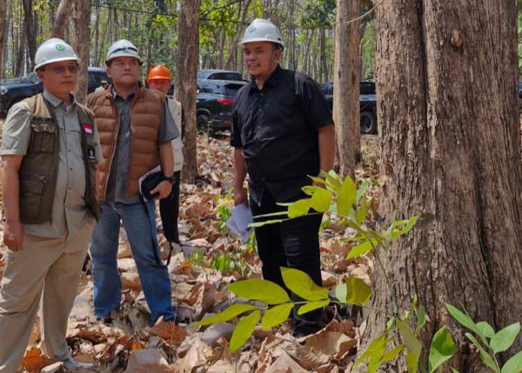 Cuaca Panas dan Kering, Perhutani Ngawi Siagakan 140 Personel Cegah Kebakaran Hutan