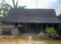 Ambil Dua Potong Kayu Jati, Petani di Bojonegoro Ditahan, Keluarga Kini Terlilit Utang