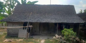 Ambil Dua Potong Kayu Jati, Petani di Bojonegoro Ditahan, Keluarga Kini Terlilit Utang