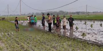Dua Perempuan di Bojonegoro Tewas Tersengat Jebakan Tikus Listrik di Sawah