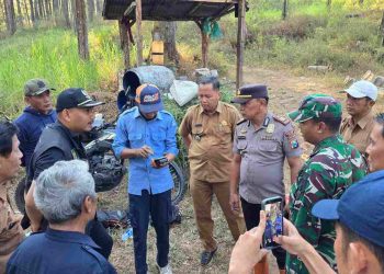 Karhutla Lawu Utara Ngawi Padam, Sekitar 1 Hektare Hutan Terdampak