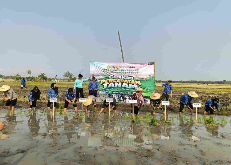 Polsek Jiwan Dukung Ketahanan Pangan, Gerakan Tanam Padi Serentak Digelar di Kincang Wetan