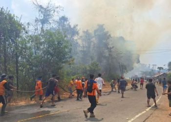 Karhutla di Poso Hanguskan 15 Hektare Lahan dan Dua Rumah Warga