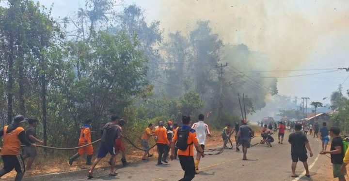 Karhutla di Poso Hanguskan 15 Hektare Lahan dan Dua Rumah Warga
