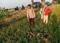 Warga Selogiri Meninggal Usai Terjatuh dari Pohon di Area Persawahan