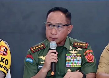 Panglima TNI Sebut Delapan Senjata Direbut dari OPM di Papua