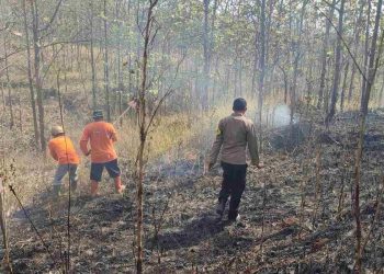Wonogiri Naikkan Status Darurat Kekeringan dan Karhutla, Siapkan BTT Rp337 Juta