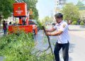 Jelang Musim Hujan, DLH Ngawi Gencarkan Pruning Pohon di Ruas Jalan Utama