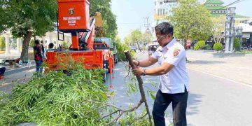 Jelang Musim Hujan, DLH Ngawi Gencarkan Pruning Pohon di Ruas Jalan Utama