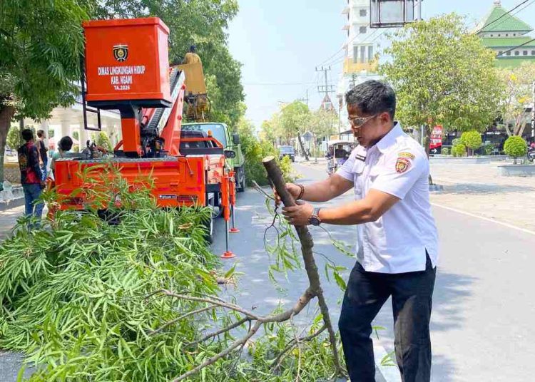 Jelang Musim Hujan, DLH Ngawi Gencarkan Pruning Pohon di Ruas Jalan Utama