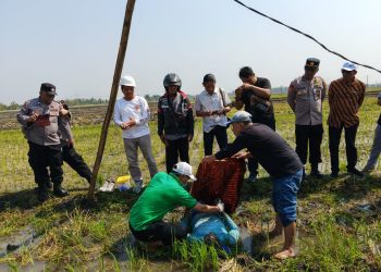 Perbaiki Kabel Sumur Sibel, Warga Ngawi Tewas Tersengat Listrik