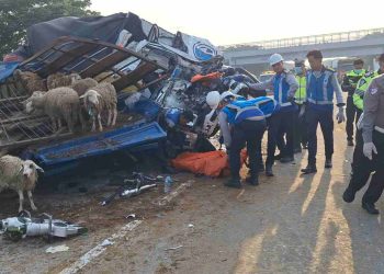 Truk Cabai Hantam Dua Truk Kambing di Tol Solo-Ngawi, Kenek Tewas Terjepit