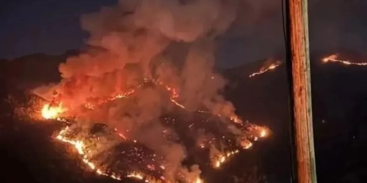Karhutla Gunung Sumbing dan Lawu Meluas, Total Area Terbakar Capai 790 Hektare