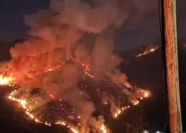 Karhutla Gunung Sumbing dan Lawu Meluas, Total Area Terbakar Capai 790 Hektare