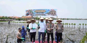Polda Jateng Tanam 1.000 Mangrove di Batang, Perkuat Upaya Hadapi Abrasi dan Banjir Rob