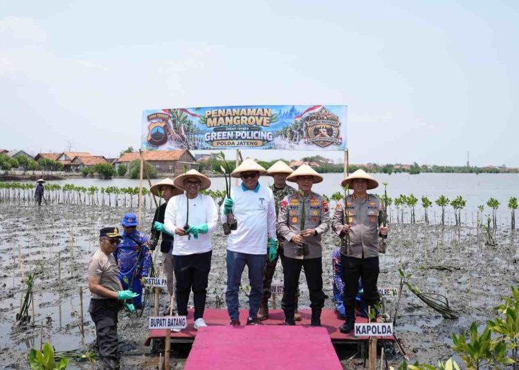 Polda Jateng Tanam 1.000 Mangrove di Batang, Perkuat Upaya Hadapi Abrasi dan Banjir Rob
